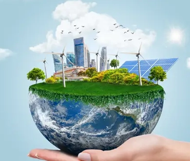 Energy efficiency:  Global concern, local action