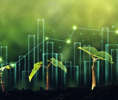 The grid, the growth and the game plan