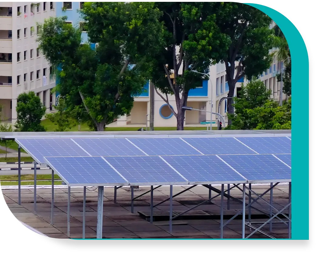 Green homes: Waking up to a greener Singapore
