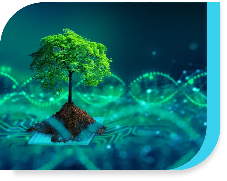 The green effect